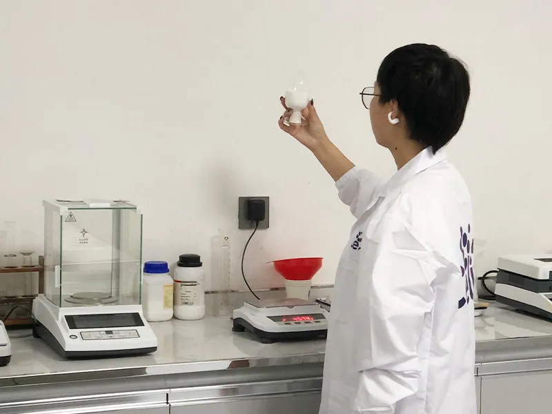 HPMC Quality Control: How Celix Meets Global Standards
