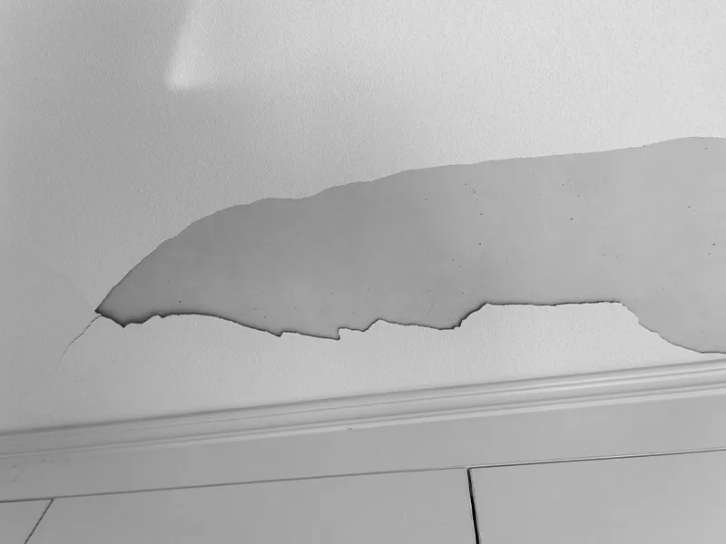 celix HPMC to Fix It.jpg celix HPMC to Fix It.jpg