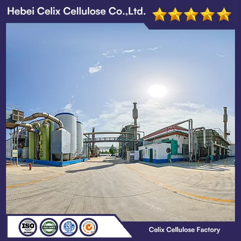 18 years Celix Factory