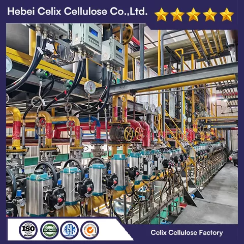 18 years Celix Factory