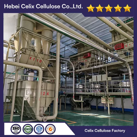 18 years Celix Factory