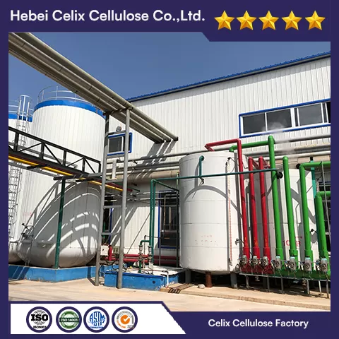 18 years Celix Factory