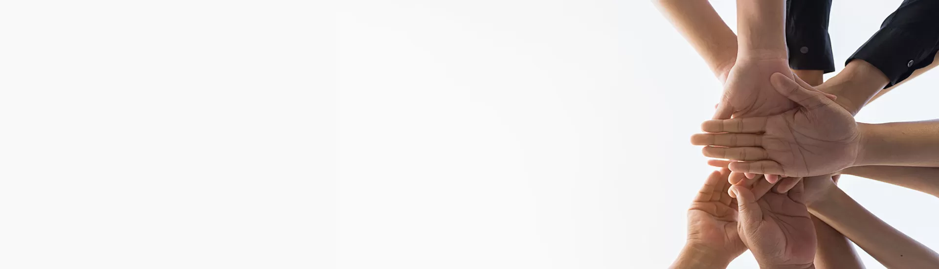 Global Partnership & Agent Support Program: Build a Sustainable Future with Celix