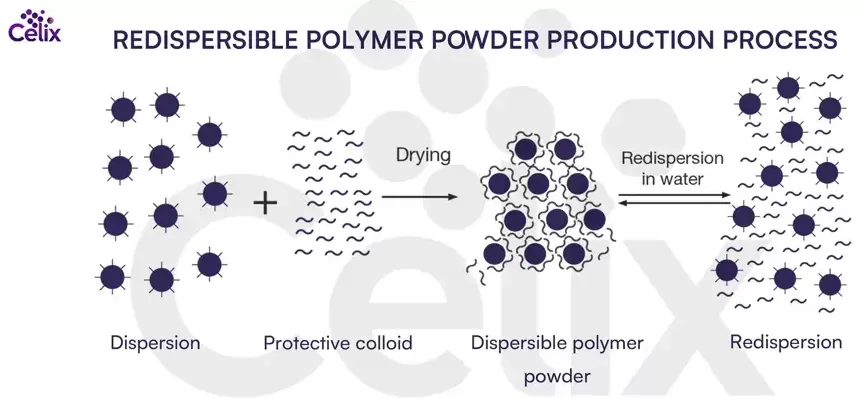Celix Industrial VAE RDP showing rapid redispersion and stable film-forming properties Celix Industrial VAE RDP showing rapid redispersion and stable film-forming properties