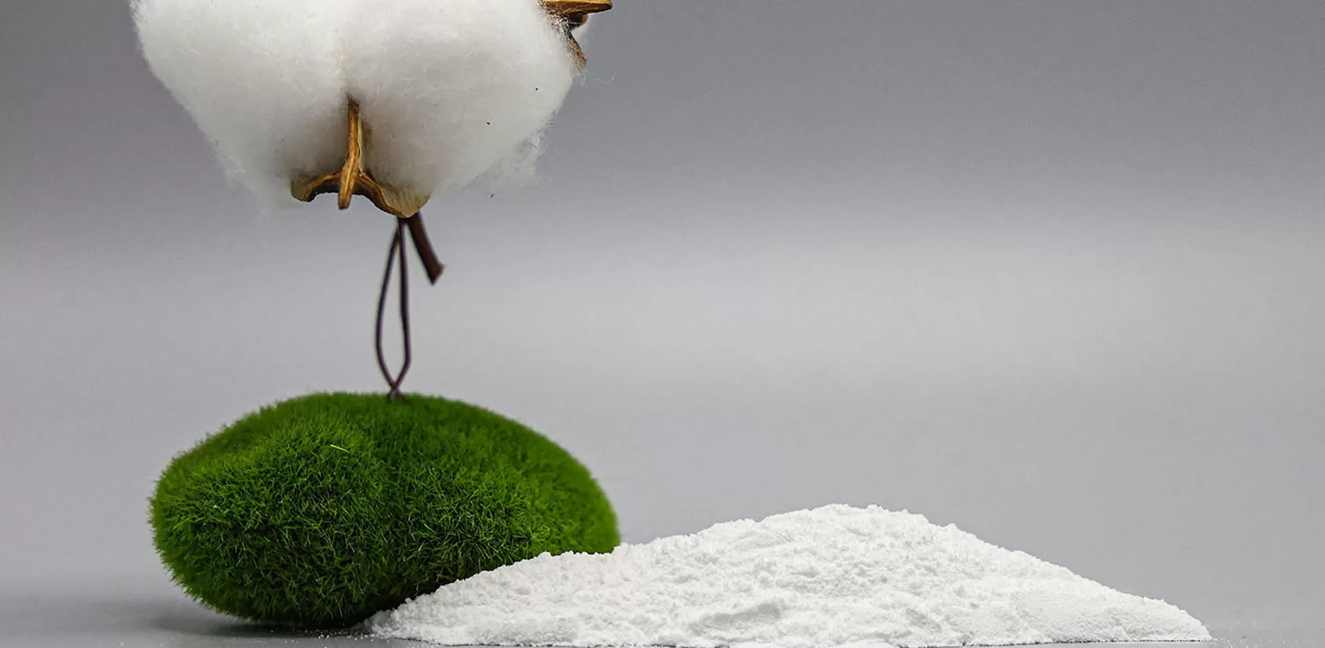 Hydroxyethyl Cellulose (HEC)