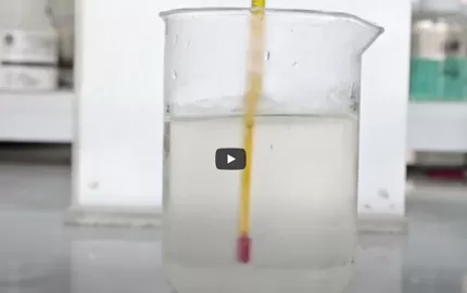 Quick View of Hebei Celix Cellulose Company