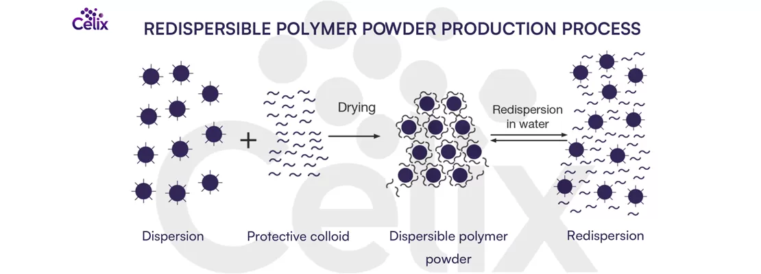 Flexible Redispersible Polymer Powder (RDP)  Functions