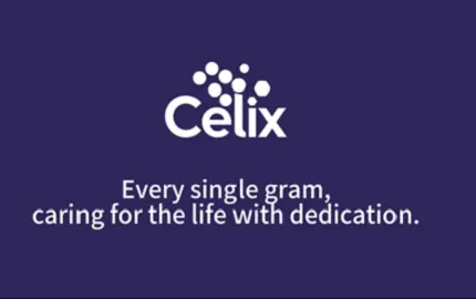 Why Global Construction Projects Trust Celix